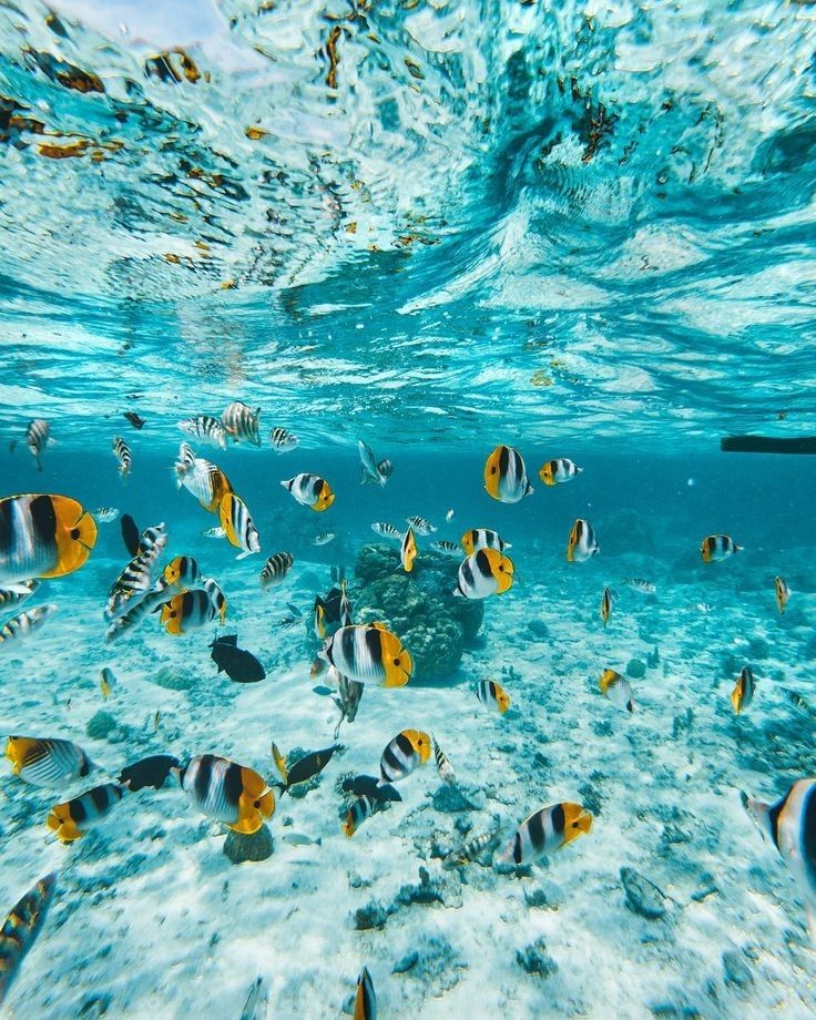 Under Water World