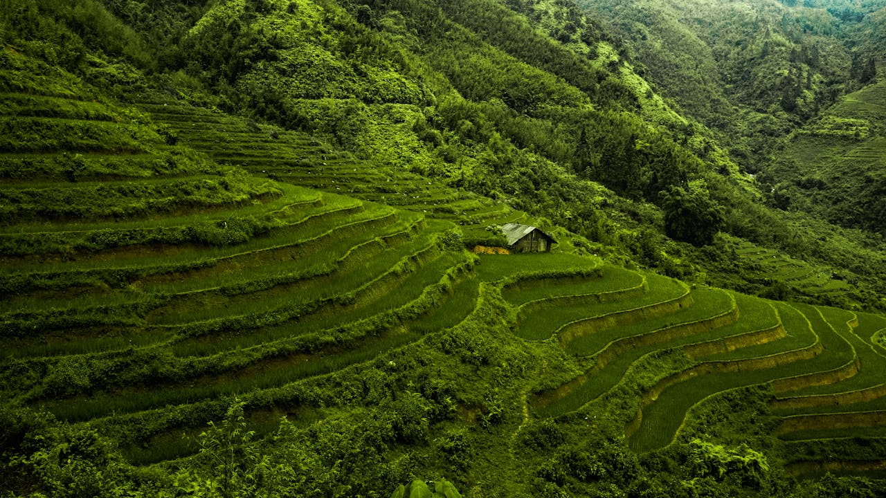 Natural Landscapes & Adventure